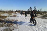 The trail was like a "concrete highway" this year and set record paces. Photo courtesy Anchorage Dispatch News